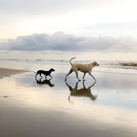 بيت للعطل Dudleys Retreat - Part Of The The Bay Village With Pool, Gym And Direct Access, Pub, Restaurant, Tennis And Meadows Walks *